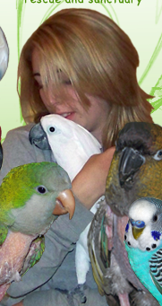 Picture of Jennifer Yost
