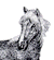 picture of a horse